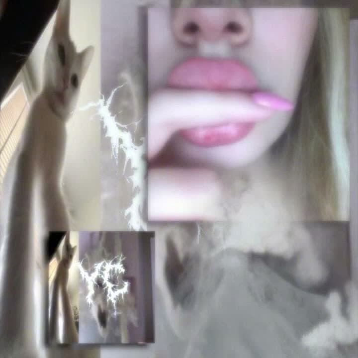miaou