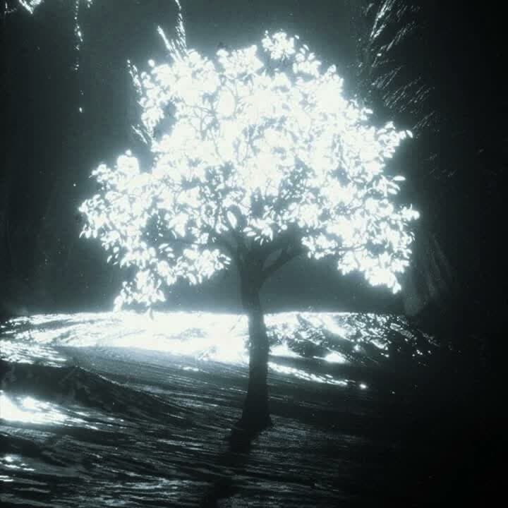 origin