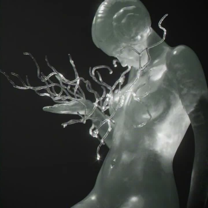 touch